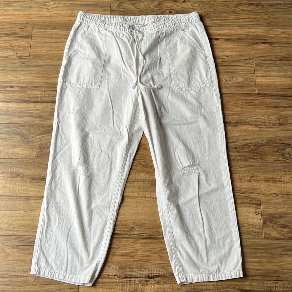 aerie distressed pants - XXL